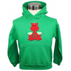 Boys Personalised Dragon Hoodie